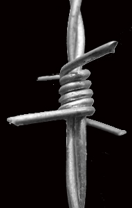 barbed Wire one of The Gash Girls Toys